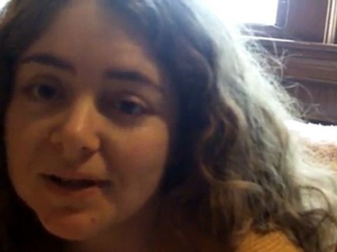 Chimney, shinlgle roof, gutters and woodwork Weston MA Call GF Sprague 781-455-0556