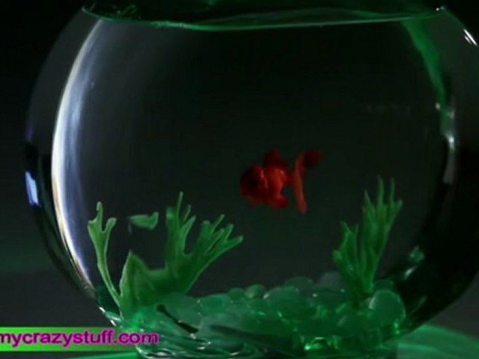 Aquarium magique poisson rouge - Mycrazystuff.com