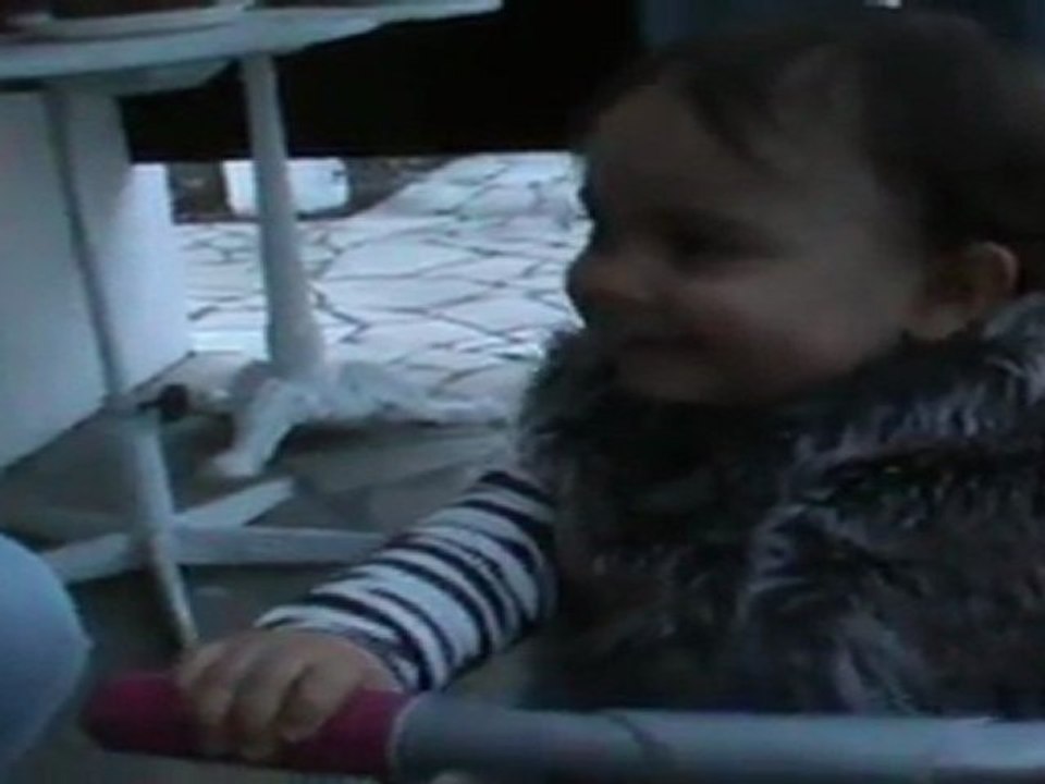 Tricycle 2