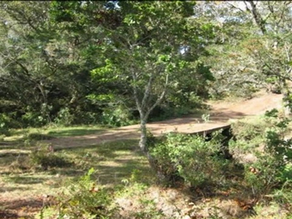 Venta de Lotes de Terreno En La Esperanza