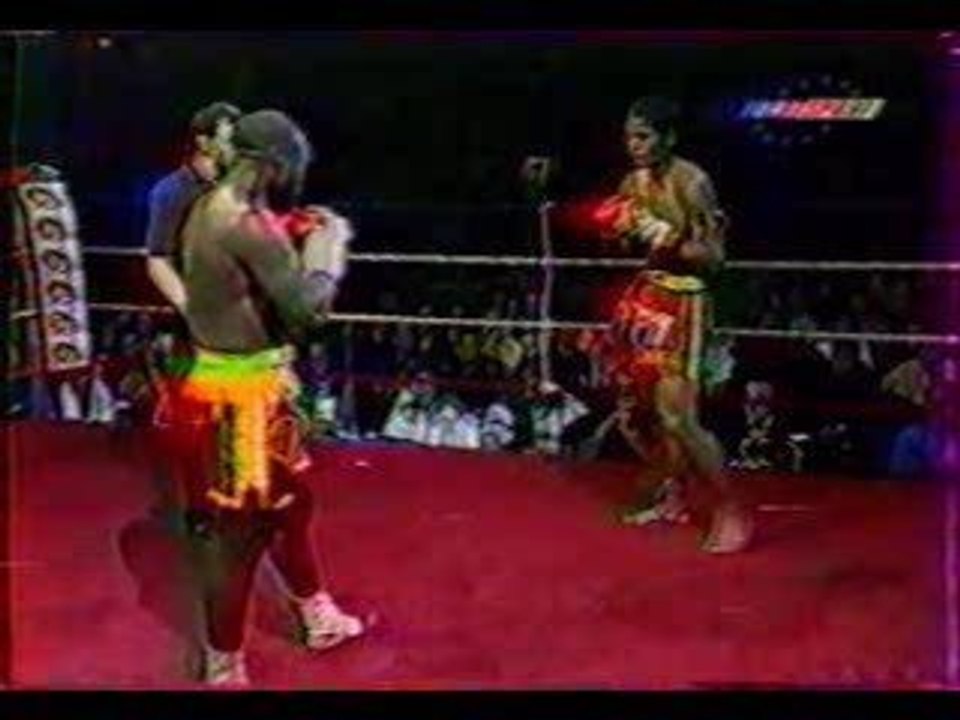 DanyBillLowKickKO