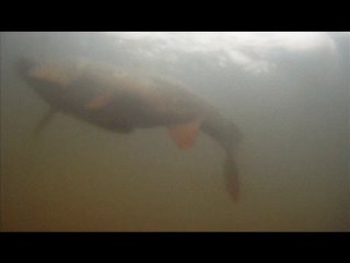 session mars 2012 - 4h au bord de l'eau ...