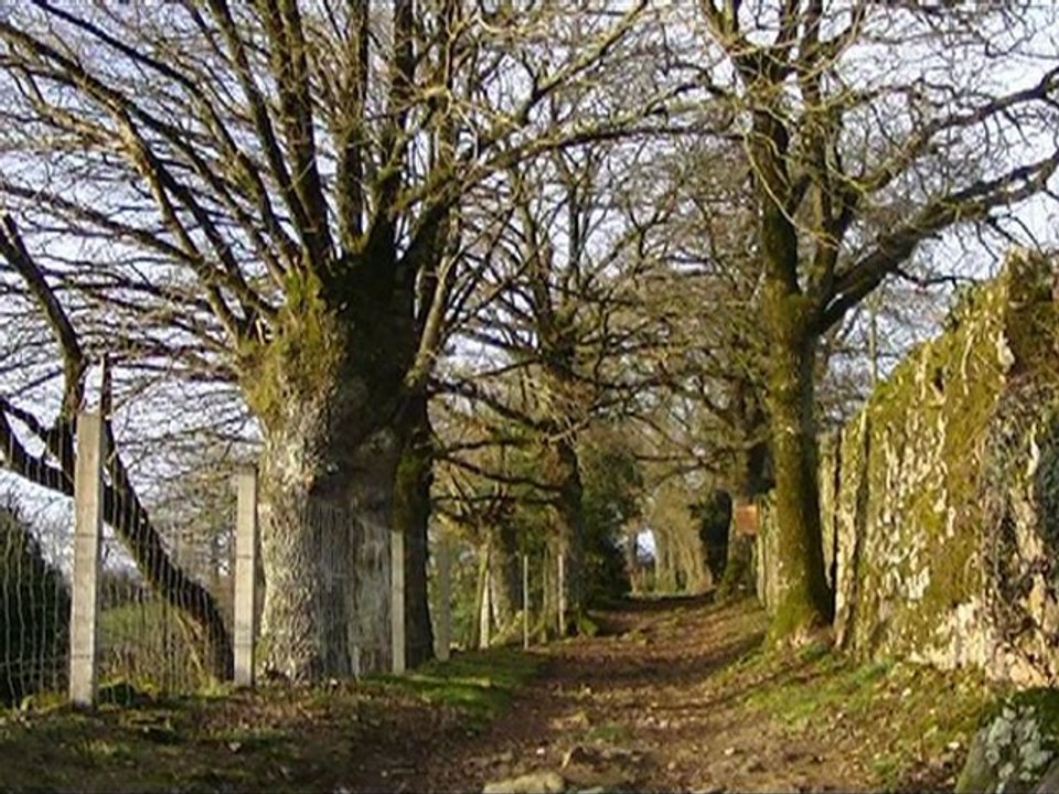 BetCalaCampagne
