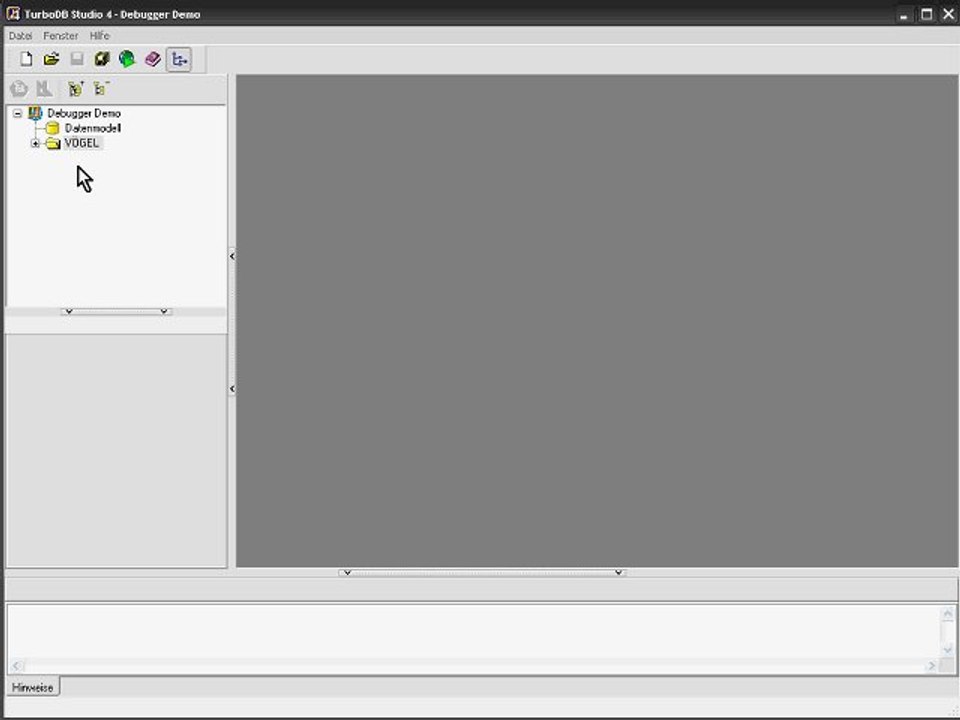 TurboDB Studio Debugger Tutorial - Part 2: Basics