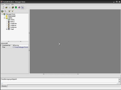 TurboDB Studio Debugger Tutorial - Part 1: Introduction