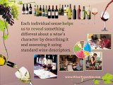 Reveal Wine Tasting Complex Aroma and Flavor