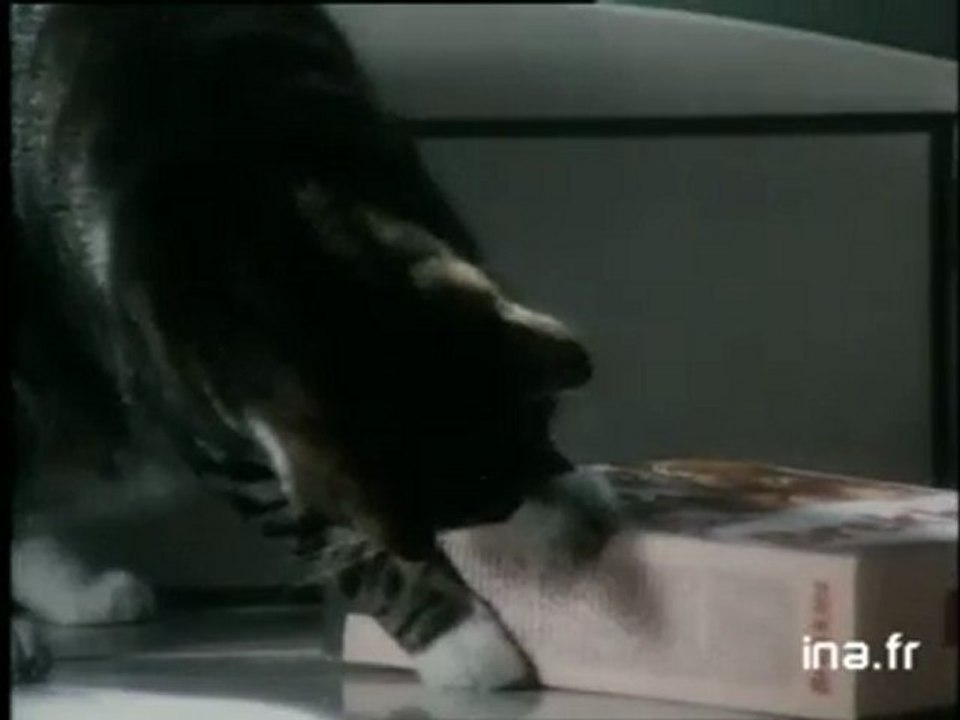 Pub Brekkies années 80