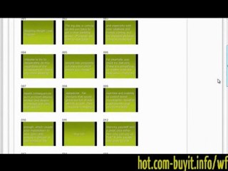 Video - Webfire's 'The Triple Traffic Shortcut' method excerpt