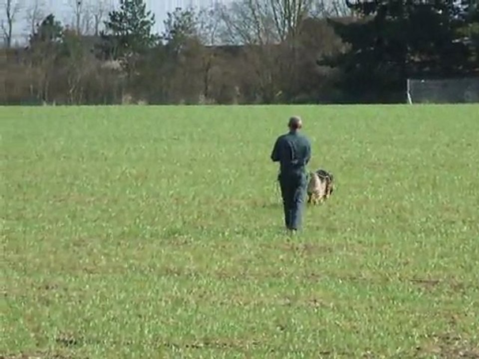 FALCON le 08 03 2012 015 FILM