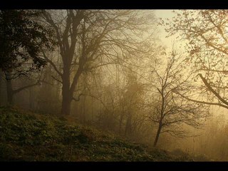 MURAT MENGİRKAON BENİ YANLIZ BIRAKMA