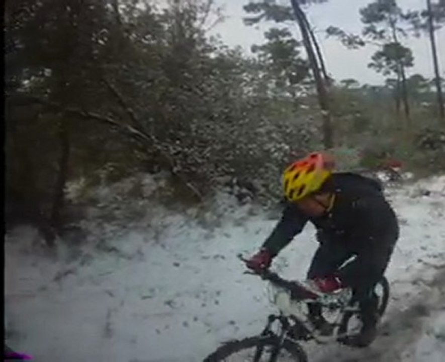 ANTRAN-VTT-101-Les mimosas-2012