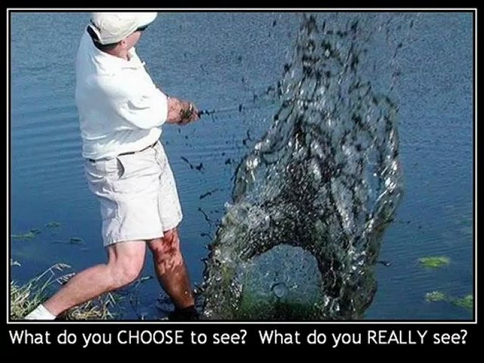 12th Foundational Falsehood of Creationism: "Creation Science"