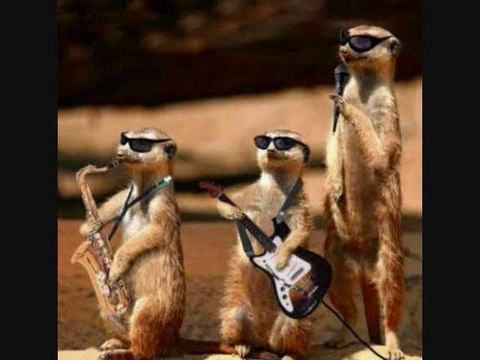 Acoustic Cover of I Believe In a Thing Called Love