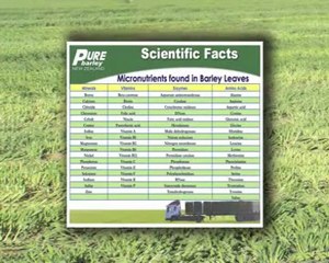 Sante NEW PRODUCT Pure Young Barley Grass with Stevia