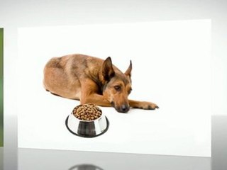 Did You Ever Read The Dog Food Secrets Book?