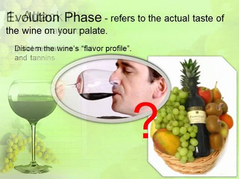 How to Drink Wine Like an Expert