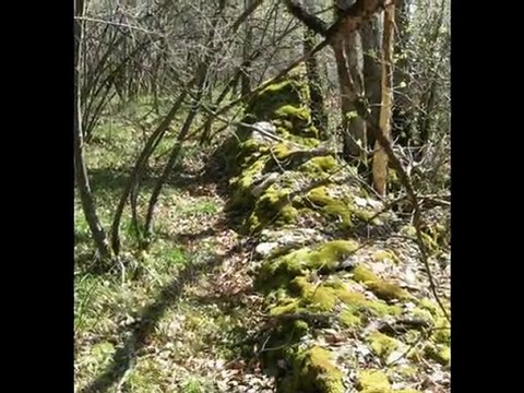 4 saisons - 01 Printemps