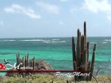 Martinique : les plages du Cap Macré