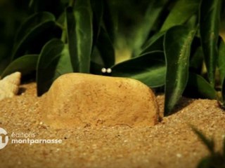 Minuscule Saison 2: Saint-Valentin