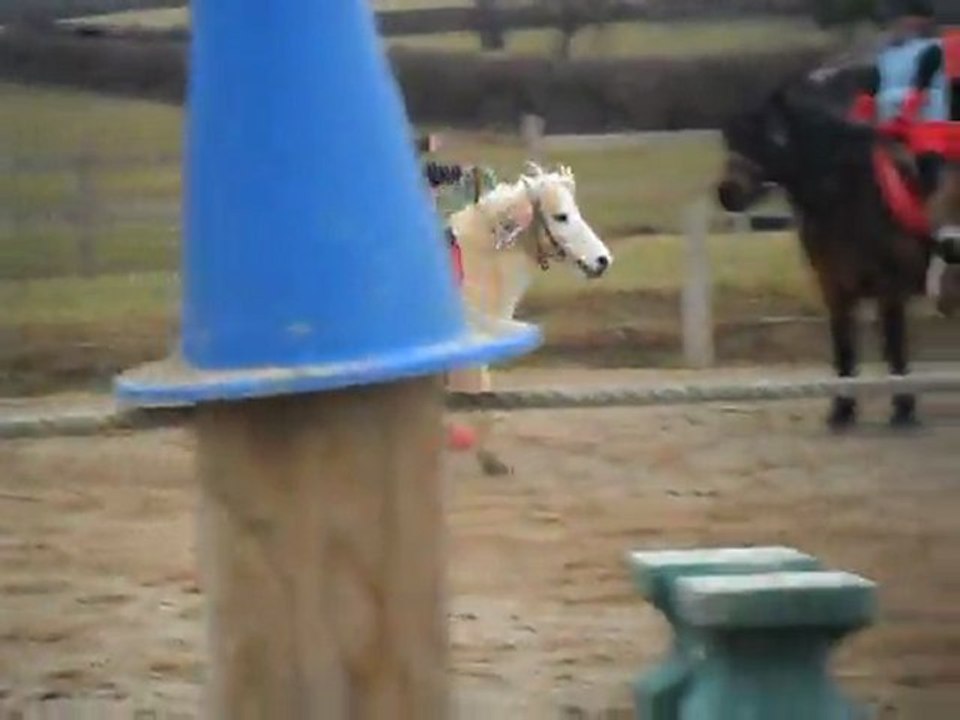 Carnaval à poney