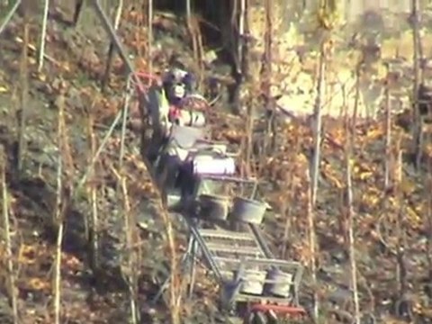 BR151 Doppeltraktion, 2x BR143, BR425, Weinberg Einspurbahn bei Dieblich a. d. Mosel