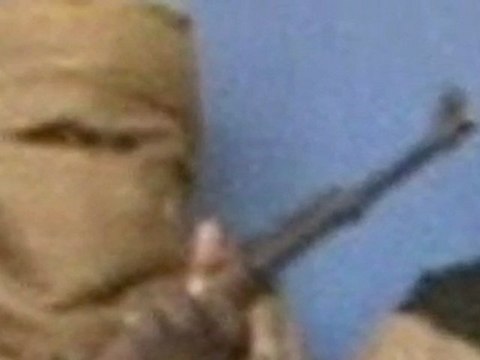 Hostages killed during SBS rescue attempt in Nigeria