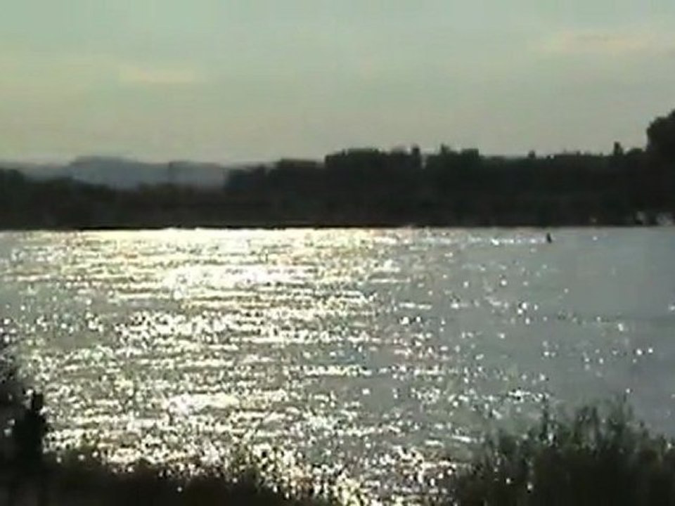 BR218, BR185, 2x BR143, BR140 Rheinbrücke Urmitz