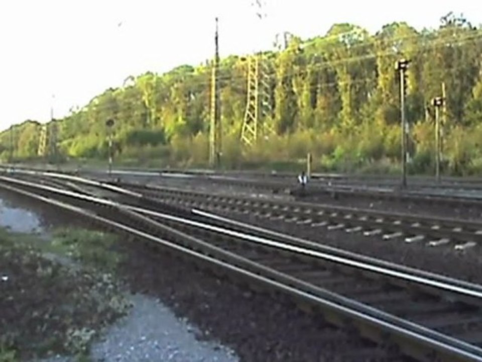 TX Logistik BR189, BR151, 4x BR185, BR294 Rbf Köln - Gremberg