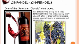 Top 7 Red Wine Types