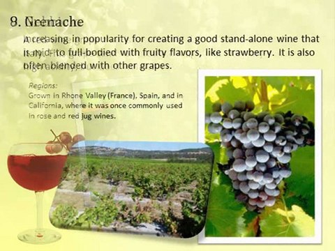 Top 10 Types of Red Wine Grapes