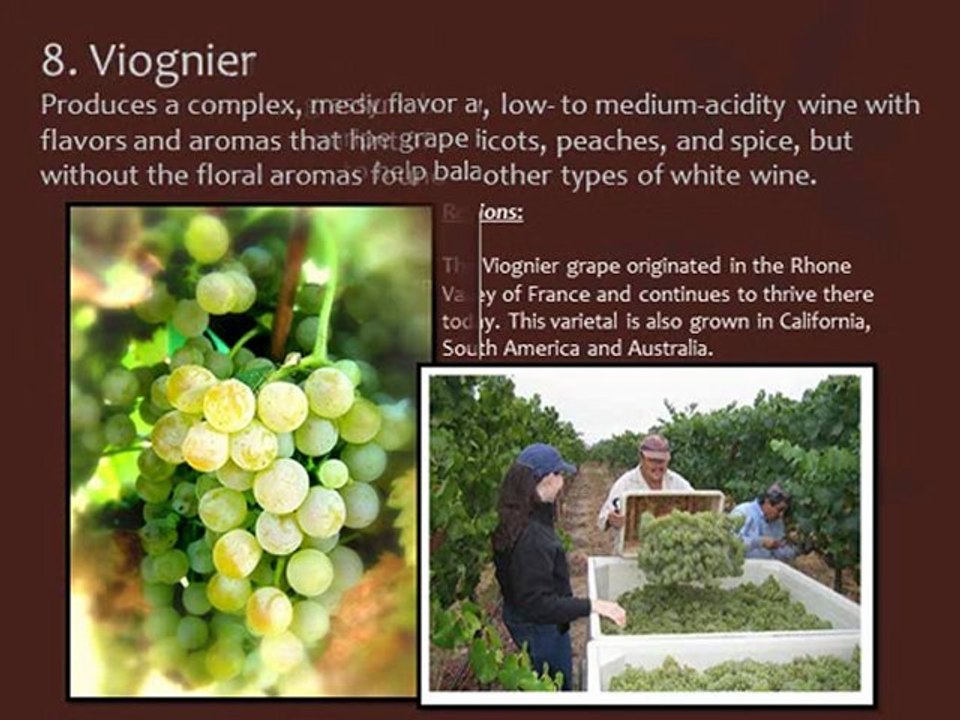 Top 10 Types of White Wine and Their Grapes