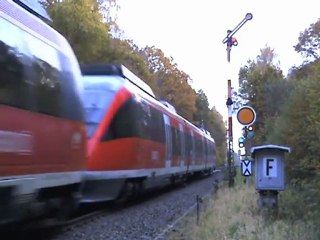 BR644 Talent zwischen Witterschlick und Bf Kottenforst