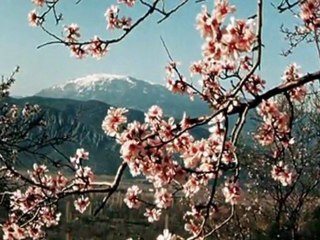 DAĞLARINA BAHAR GELMİŞ MEMLEKETİMİN__RAHMİ SALTUK