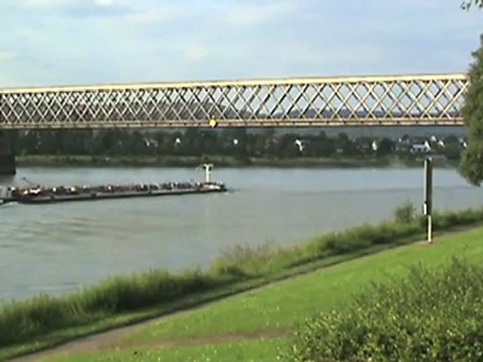 BR294 und Rheinschiffe bei Urmitz