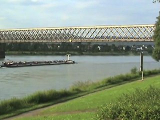 BR294 und Rheinschiffe bei Urmitz