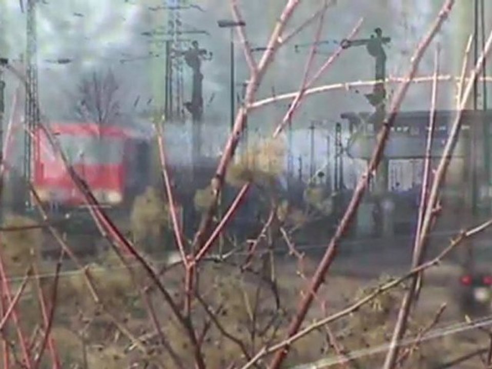 BR155, 3x BR140, 3x BR185 Rbf Köln - Gremberg