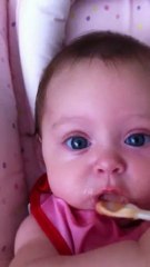 Mes premieres compotes