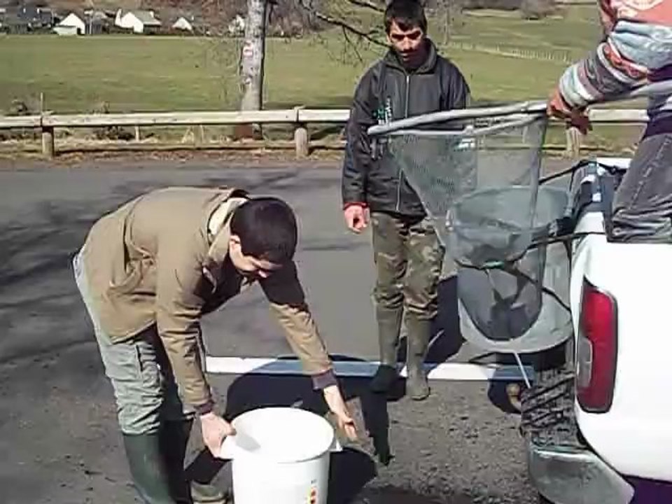 Le lâché de truites pour l'ouverture 2012 n°2