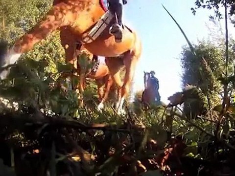 Le régiment de cavalerie de la Garde Républicaine