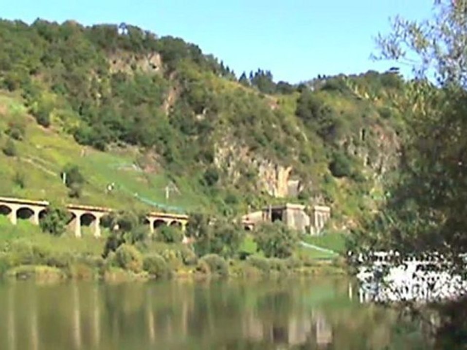 BR152, BR185, BR143, BR628; 2x BR425 Pünderich a.d. Mosel