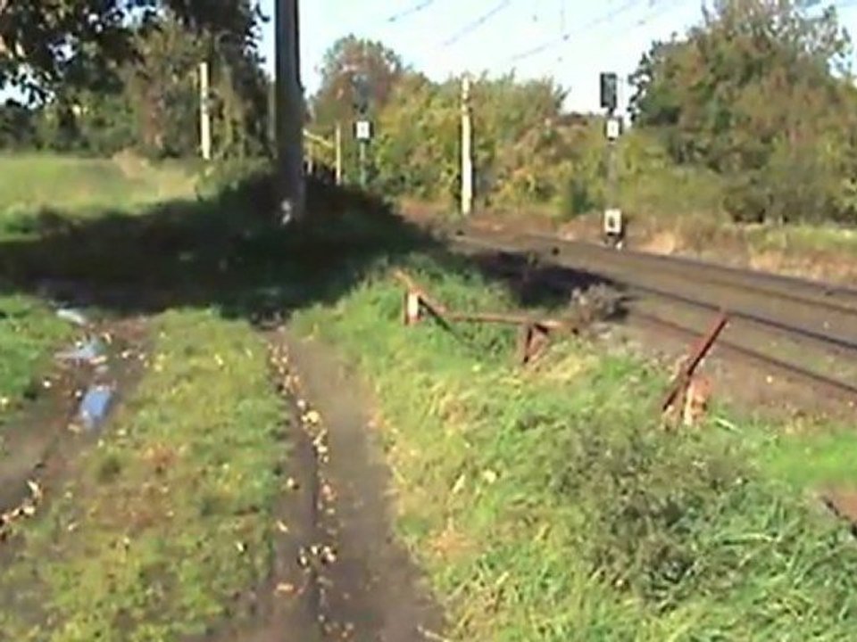 HGK Mak DE92 und diverse Straßenbahnen bei Hürth Fischenich