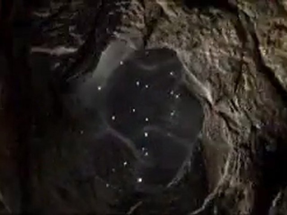 VideoTEST