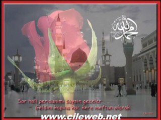 Hasan  GURSAN  "GÜL TANEM"