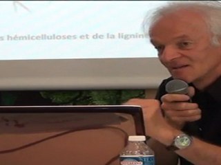 Etats Généraux de l'Arbre - Regards sur l'arbre 1-1