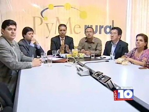 Primer Foro sobre Desarrollo Económico Local (La experiencia UDEL-Danlí). Programa AGROCAMPO. 15 de diciembre del 2011.