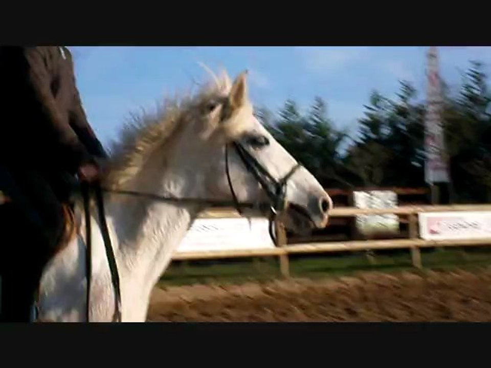 Quastelle cours du 19-10-11