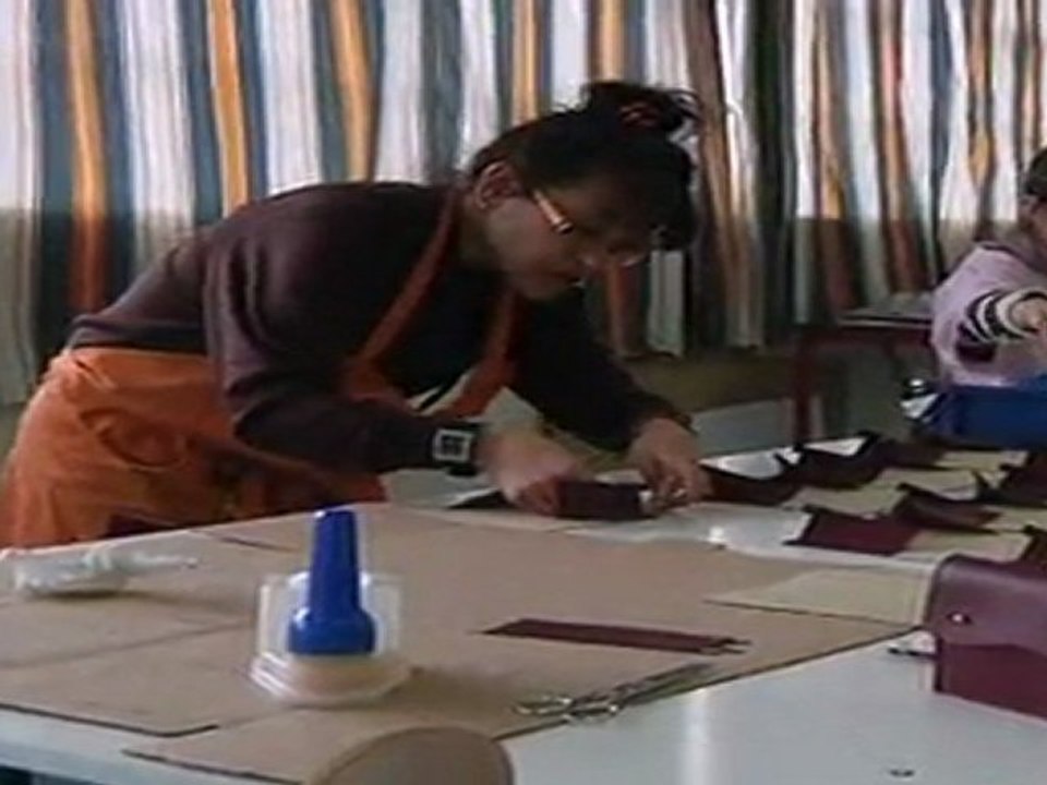 Exclusif : Nicolas Sarkozy à Lejaby, un nouvel avenir pour les travailleuse, des emplois sauvés