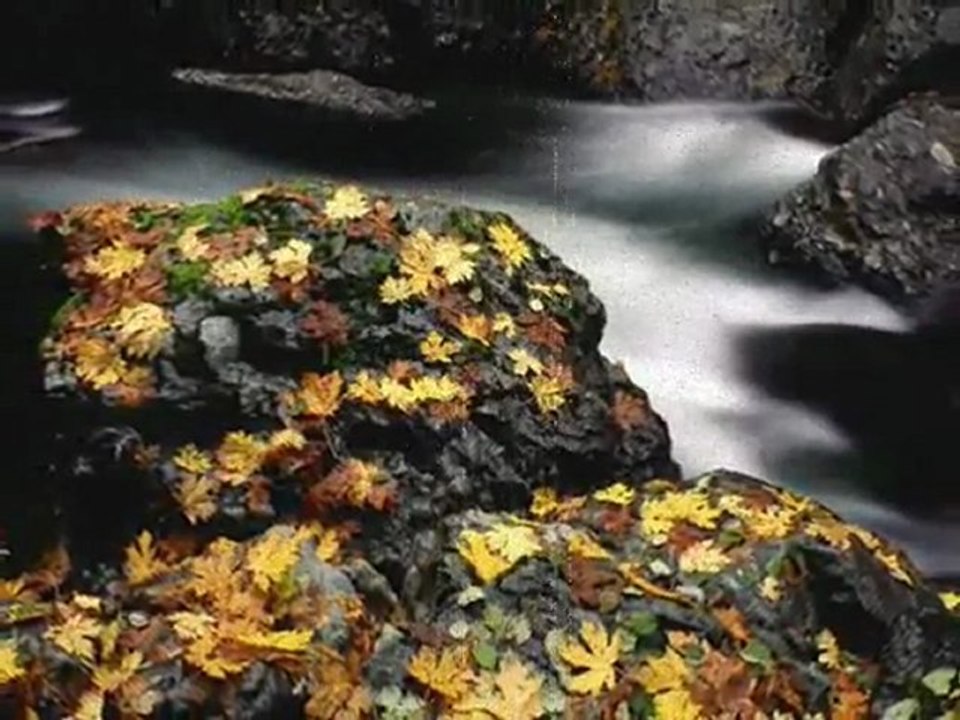 Hasret  GÜLTEKİN  " DAĞLAR"