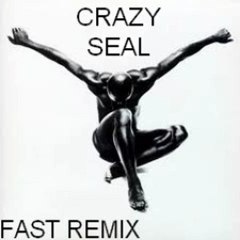 Seal Crazy (Fast Remix)