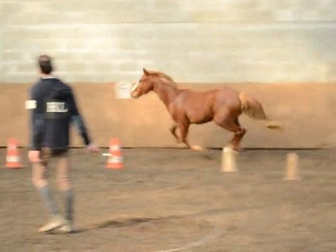 Vespa Mad par Paolik Kersidal 3 ans saut en liberté